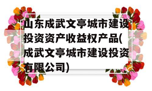 山东成武文亭城市建设投资资产收益权产品(成武文亭城市建设投资有限公司)