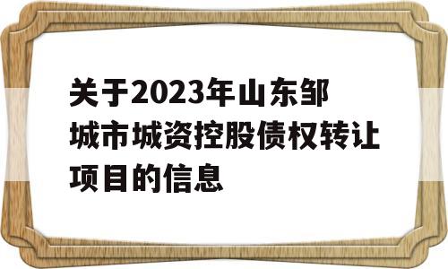 关于2023年山东邹城市城资控股债权转让项目的信息