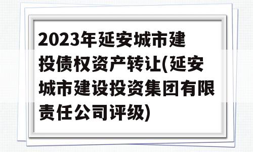 2023年延安城市建投债权资产转让(延安城市建设投资集团有限责任公司评级)