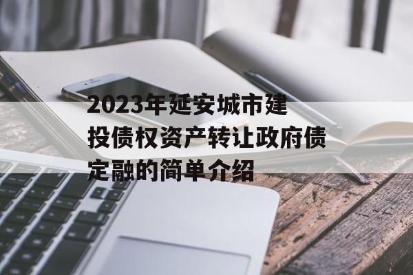 2023年延安城市建投债权资产转让政府债定融的简单介绍