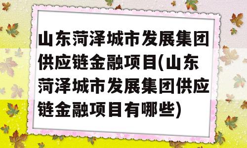 山东菏泽城市发展集团供应链金融项目(山东菏泽城市发展集团供应链金融项目有哪些)