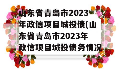 山东省青岛市2023年政信项目城投债(山东省青岛市2023年政信项目城投债务情况)