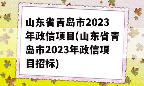 山东省青岛市2023年政信项目(山东省青岛市2023年政信项目招标)