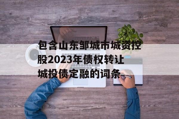 包含山东邹城市城资控股2023年债权转让城投债定融的词条