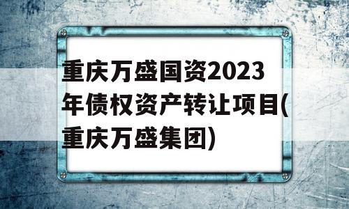 重庆万盛国资2023年债权资产转让项目(重庆万盛集团)