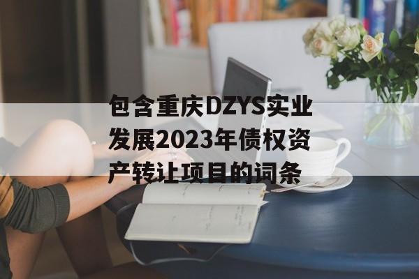 包含重庆DZYS实业发展2023年债权资产转让项目的词条