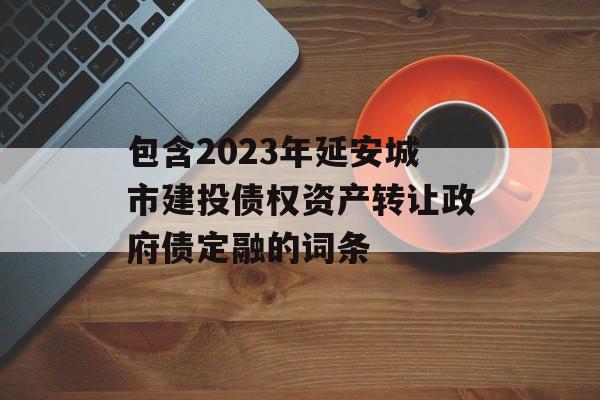 包含2023年延安城市建投债权资产转让政府债定融的词条