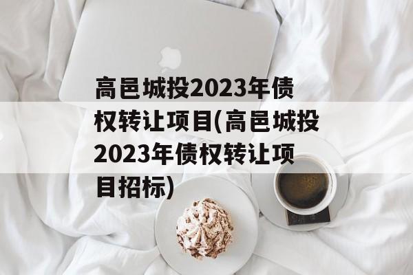 高邑城投2023年债权转让项目(高邑城投2023年债权转让项目招标)