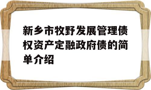 新乡市牧野发展管理债权资产定融政府债的简单介绍