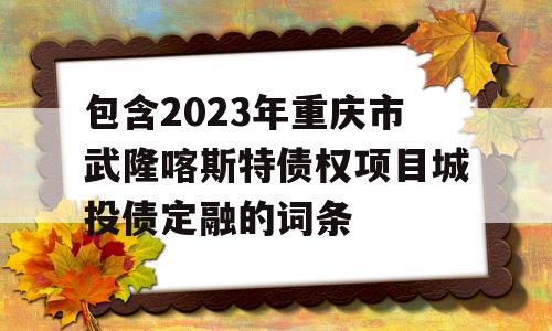 包含2023年重庆市武隆喀斯特债权项目城投债定融的词条