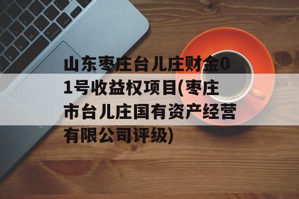 山东枣庄台儿庄财金01号收益权项目(枣庄市台儿庄国有资产经营有限公司评级)