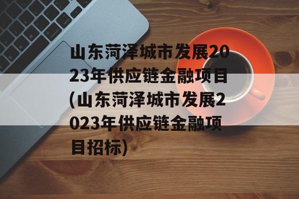 山东菏泽城市发展2023年供应链金融项目(山东菏泽城市发展2023年供应链金融项目招标)