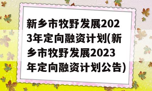 新乡市牧野发展2023年定向融资计划(新乡市牧野发展2023年定向融资计划公告)