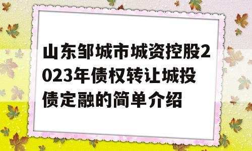 山东邹城市城资控股2023年债权转让城投债定融的简单介绍