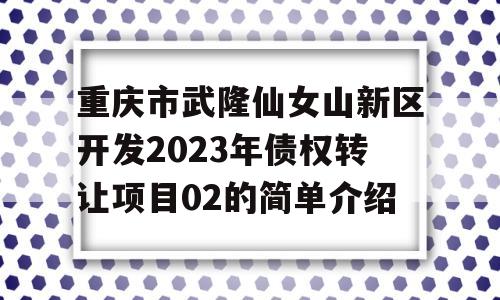 重庆市武隆仙女山新区开发2023年债权转让项目02的简单介绍