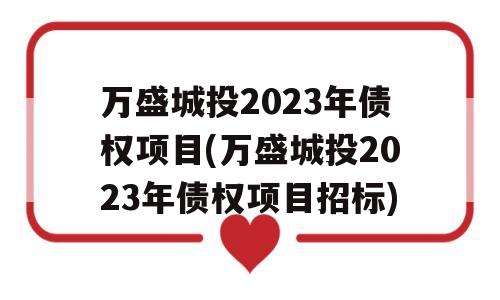 万盛城投2023年债权项目(万盛城投2023年债权项目招标)