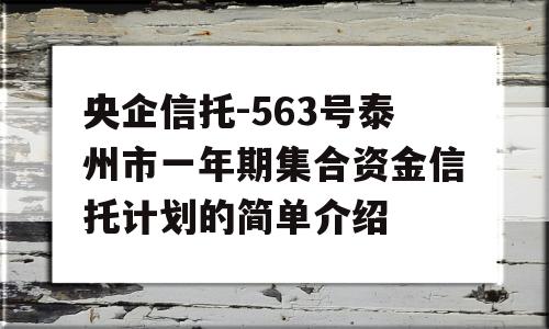 央企信托-563号泰州市一年期集合资金信托计划的简单介绍