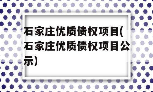 石家庄优质债权项目(石家庄优质债权项目公示)