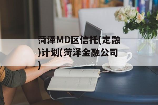 菏泽MD区信托(定融)计划(菏泽金融公司)