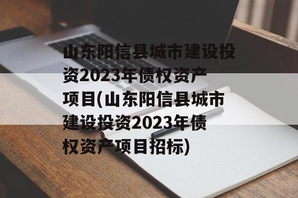 山东阳信县城市建设投资2023年债权资产项目(山东阳信县城市建设投资2023年债权资产项目招标)