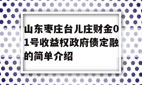 山东枣庄台儿庄财金01号收益权政府债定融的简单介绍