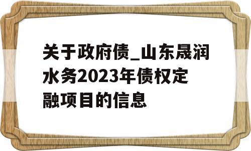 关于政府债_山东晟润水务2023年债权定融项目的信息