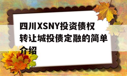 四川XSNY投资债权转让城投债定融的简单介绍