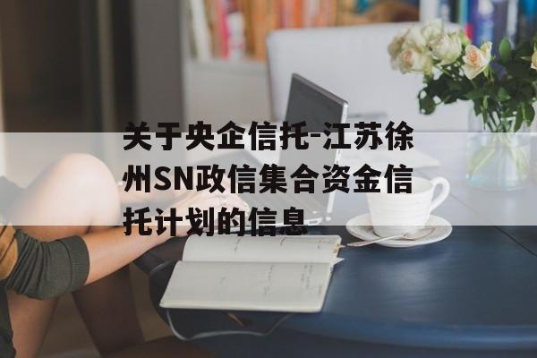 关于央企信托-江苏徐州SN政信集合资金信托计划的信息