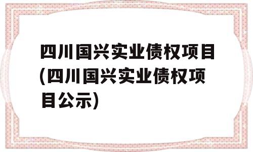 四川国兴实业债权项目(四川国兴实业债权项目公示)