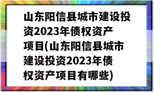 山东阳信县城市建设投资2023年债权资产项目(山东阳信县城市建设投资2023年债权资产项目有哪些)