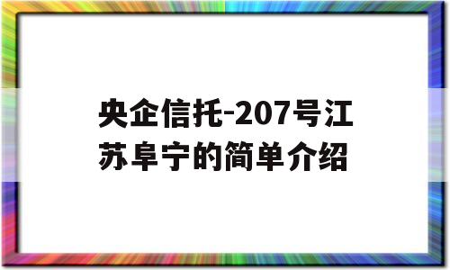 央企信托-207号江苏阜宁的简单介绍